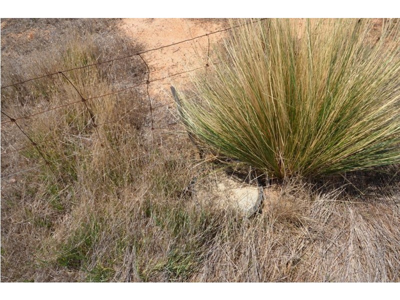 11 Blackney Drive, Avoca VIC 3467