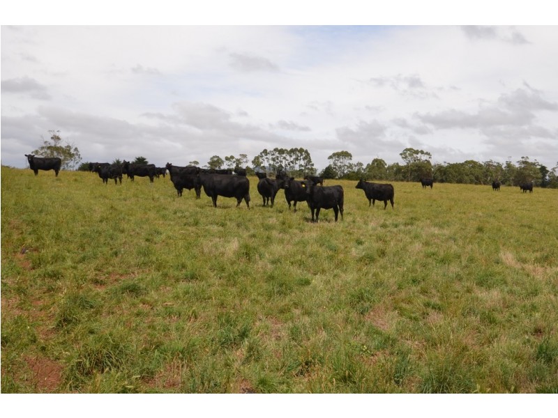 506 Bungaree – Creswick Road, Pootilla VIC 3352