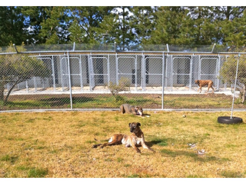 141 Ingliston – Settlement Rd, Ingliston VIC 3342