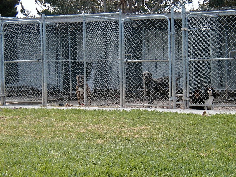 141 Ingliston – Settlement Rd, Ingliston VIC 3342