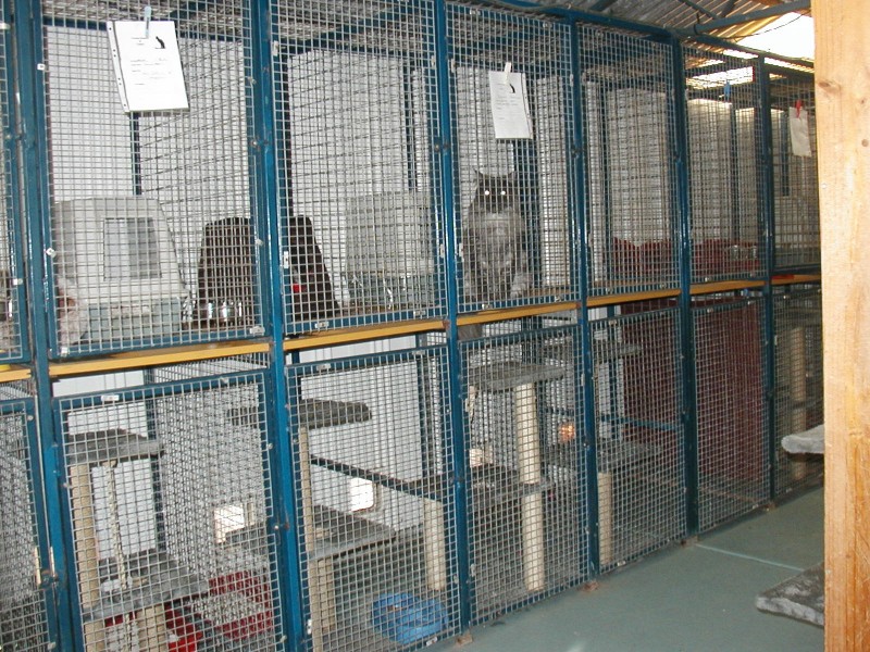 141 Ingliston – Settlement Rd, Ingliston VIC 3342