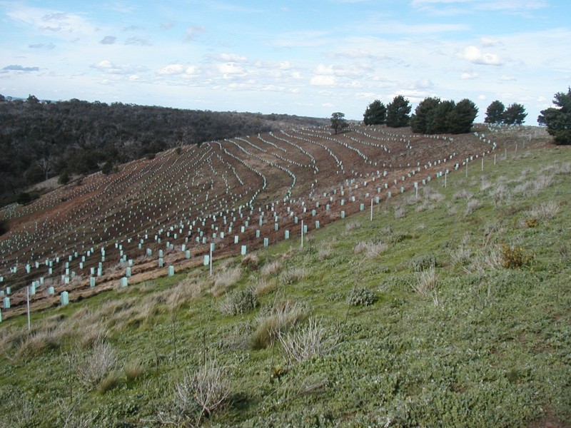 141 Ingliston – Settlement Rd, Ingliston VIC 3342