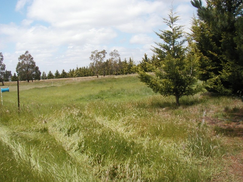 141 Ingliston – Settlement Rd, Ingliston VIC 3342