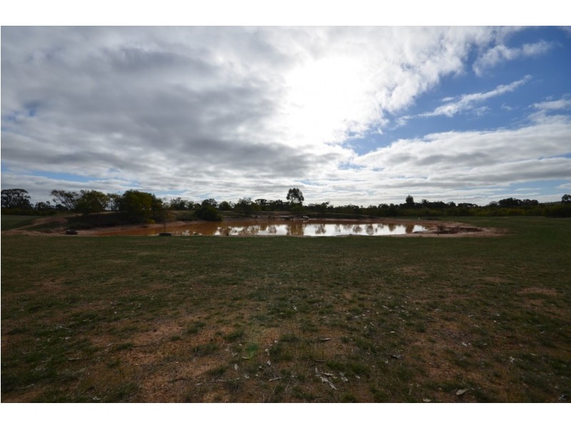 99 Glenister Gap Road, Navarre VIC 3384