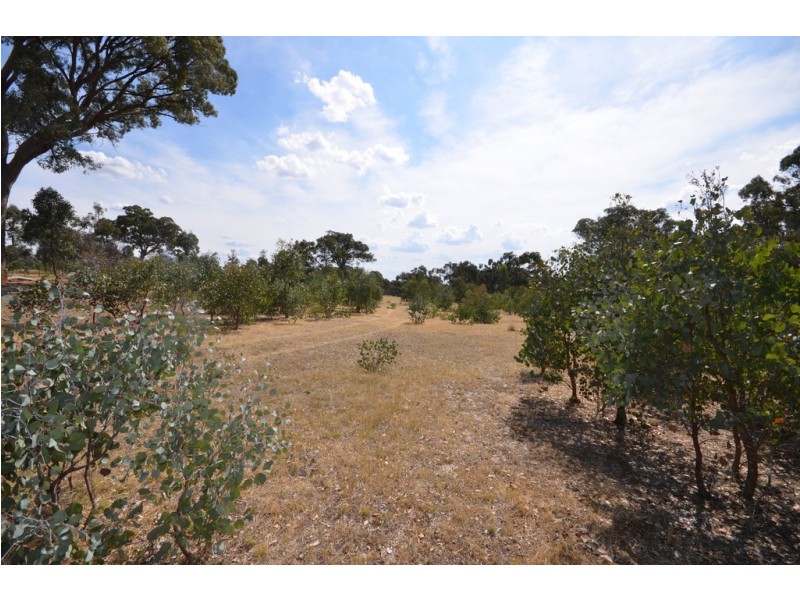 Lot 10 Lamplough Heights Road, Lamplough VIC 3352