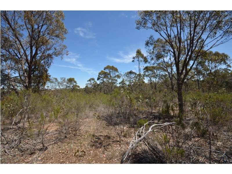 Lot 3 Lillicur West Road, Lamplough VIC 3352