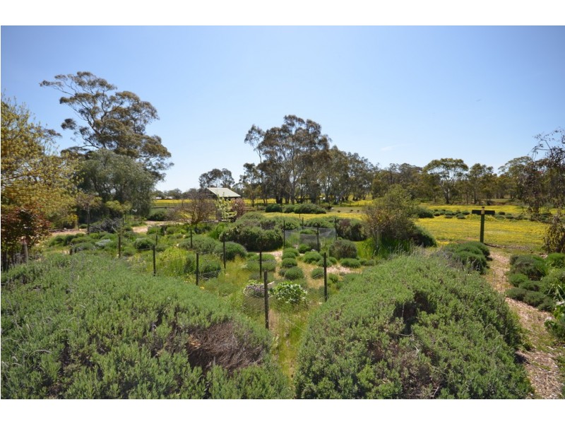 38 Marshall Lane, Barkly VIC 3384