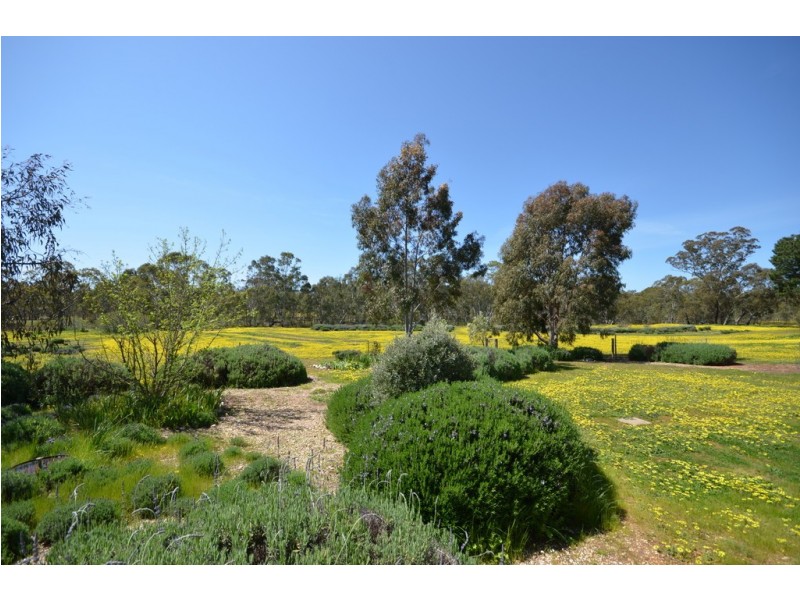 38 Marshall Lane, Barkly VIC 3384