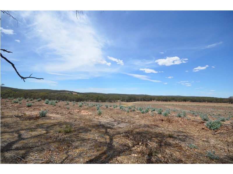 “Rowan” Back Raglan Road, Beaufort VIC 3373