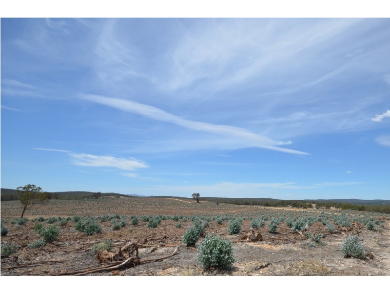 “Rowan” Back Raglan Road, Beaufort VIC 3373