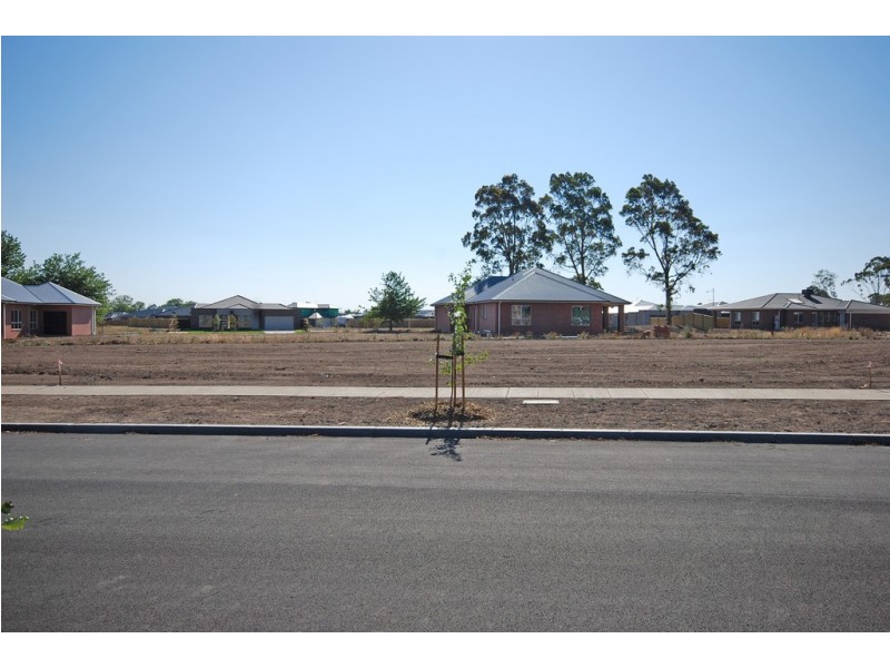 17 Capital Street, Alfredton VIC 3350