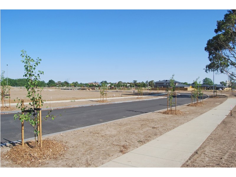 17 Capital Street, Alfredton VIC 3350