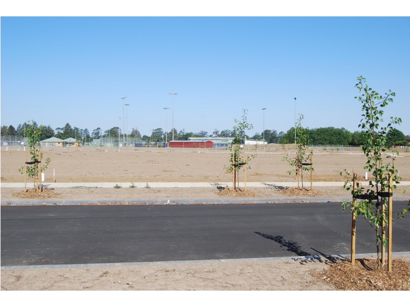 17 Capital Street, Alfredton VIC 3350