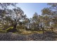 Carisbrook VIC 3464