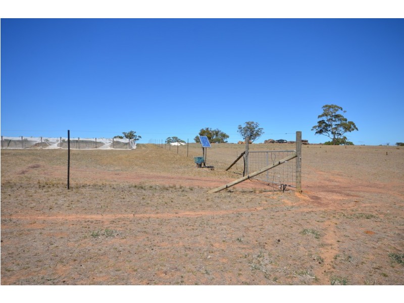 CA 64 Forestry Road, Landsborough VIC 3384