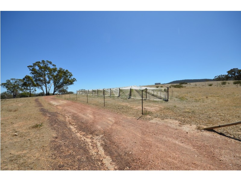 CA 64 Forestry Road, Landsborough VIC 3384