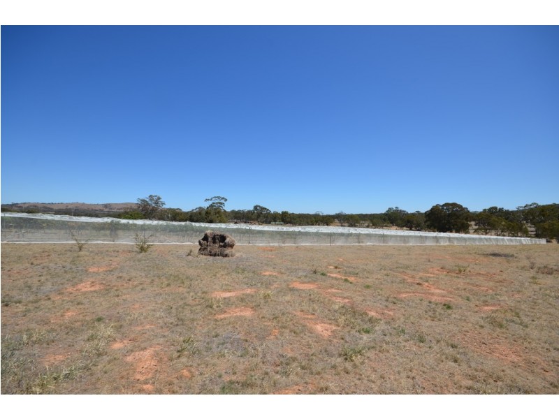 CA 64 Forestry Road, Landsborough VIC 3384