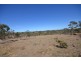42 Newitts Lane, Bealiba VIC 3475
