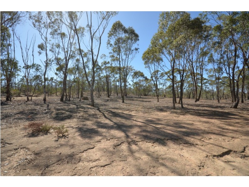 42 Newitts Lane, Bealiba VIC 3475