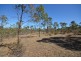 42 Newitts Lane, Bealiba VIC 3475