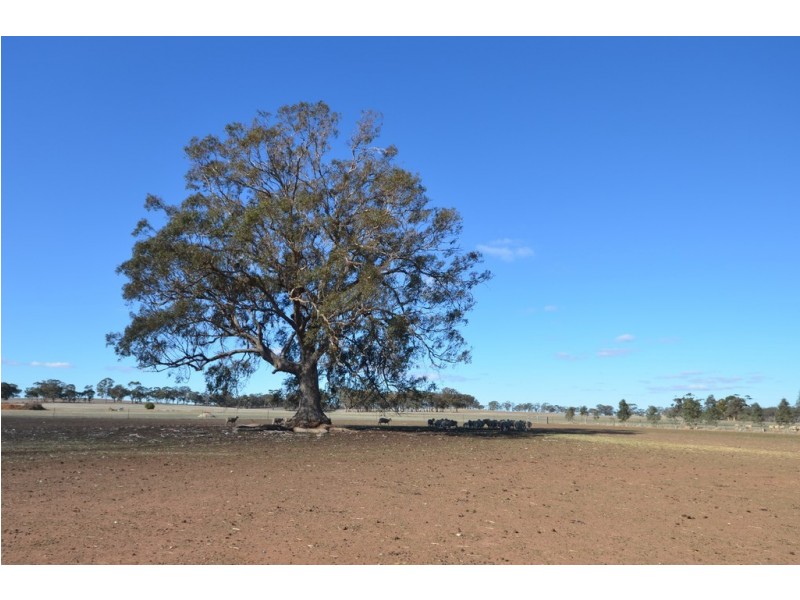 41 School Road, Homebush VIC 3465