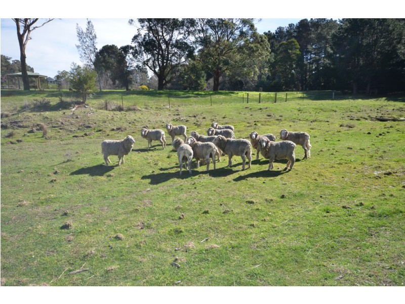 47 Gillespie Street, Linton VIC 3360