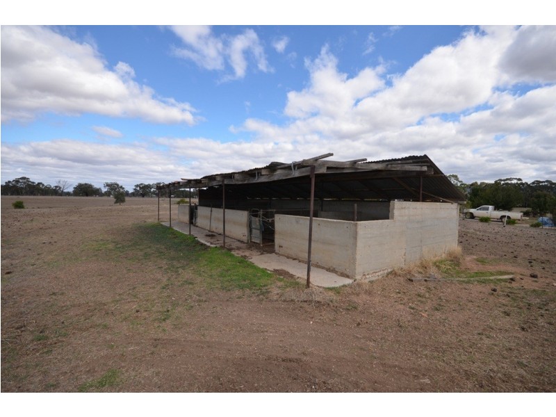 91 Dawsons Rd, Avoca VIC 3467