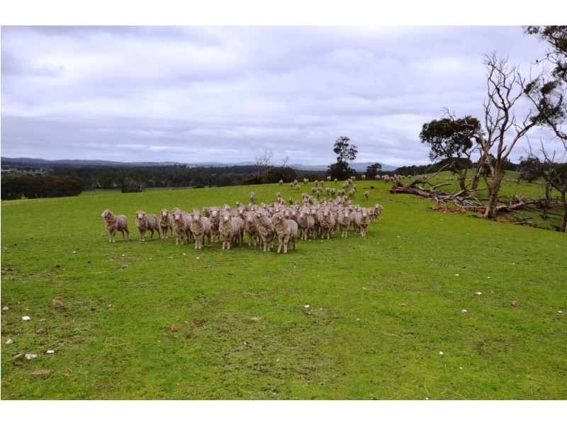 Lot 1 Embling Street, Beaufort VIC 3373