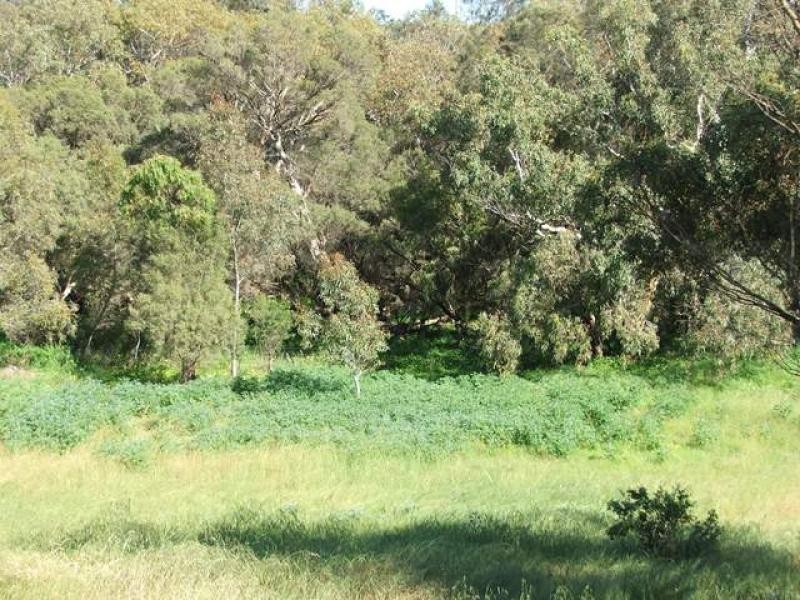 167 Giles Road, Moonyoonooka WA 6532