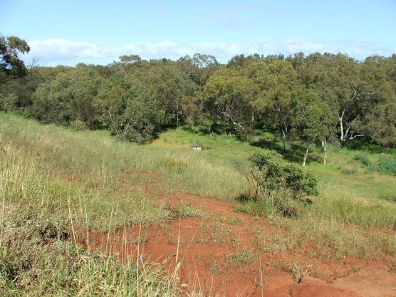 167 Giles Road, Moonyoonooka WA 6532