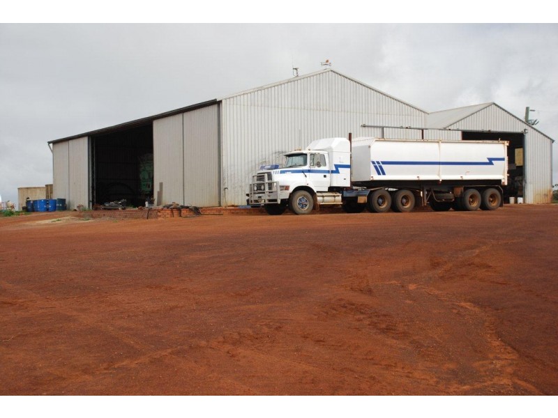 Pindar WA 6631