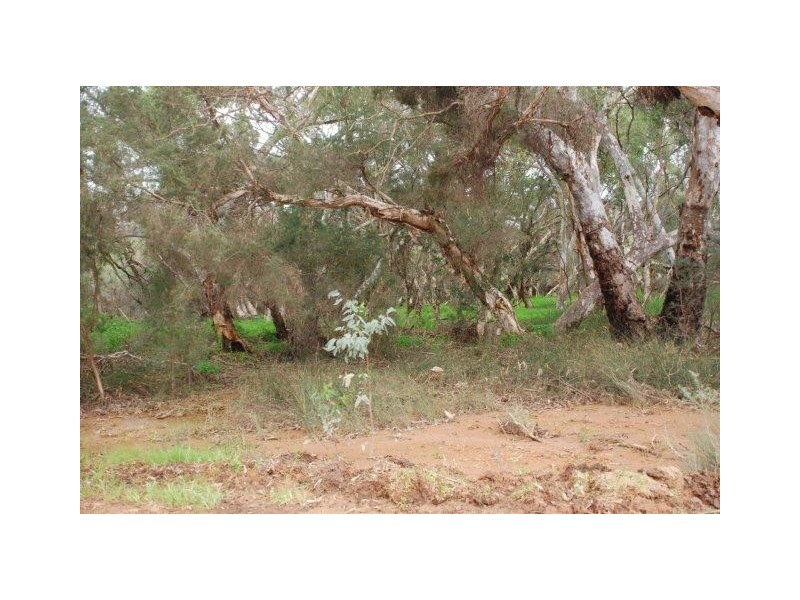 Yallabatharra WA 6535