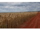 Perenjori WA 6620