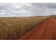Perenjori WA 6620