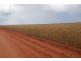 Perenjori WA 6620