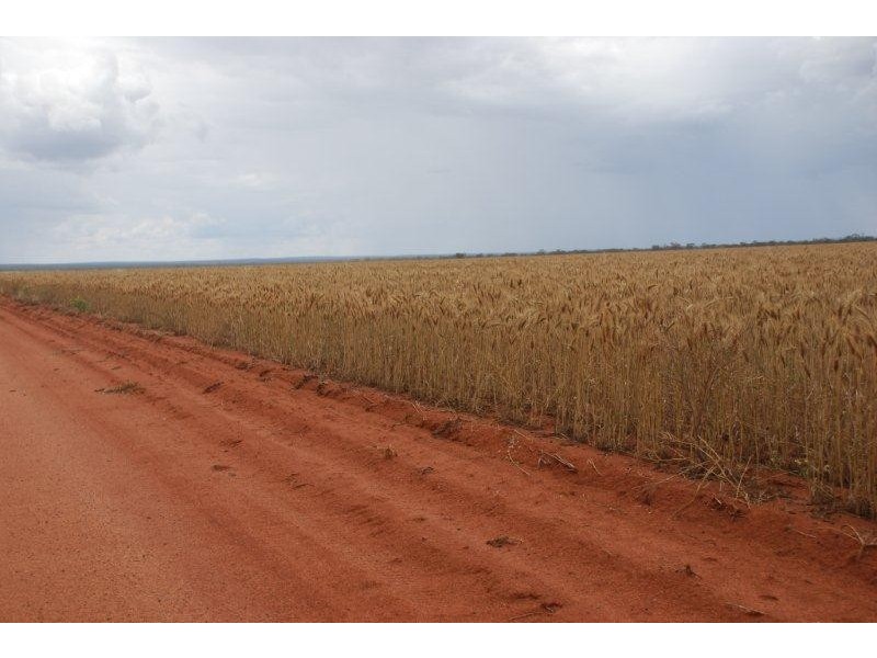 Perenjori WA 6620