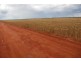 Perenjori WA 6620