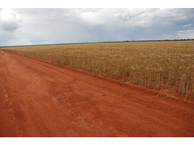 Perenjori WA 6620