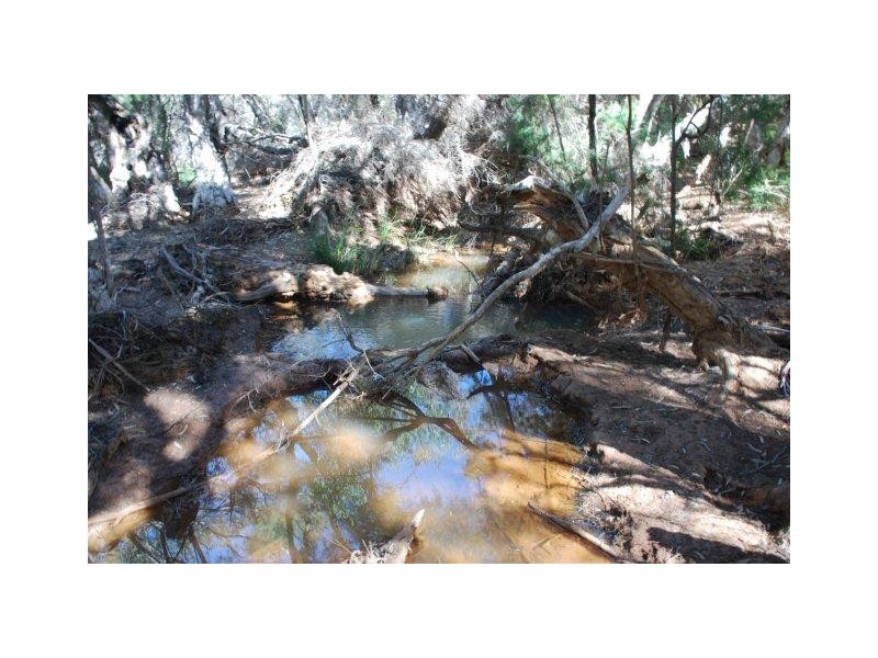 Yallabatharra WA 6535