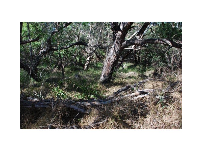 Yallabatharra WA 6535