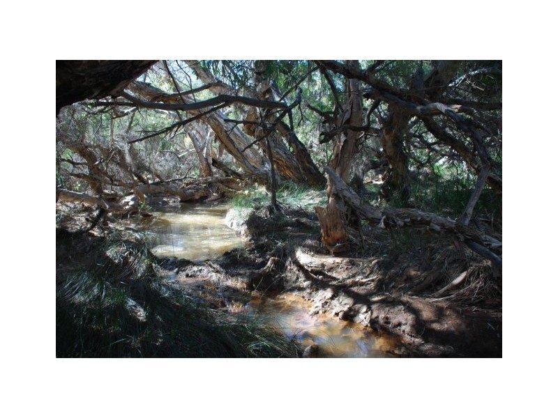 Yallabatharra WA 6535