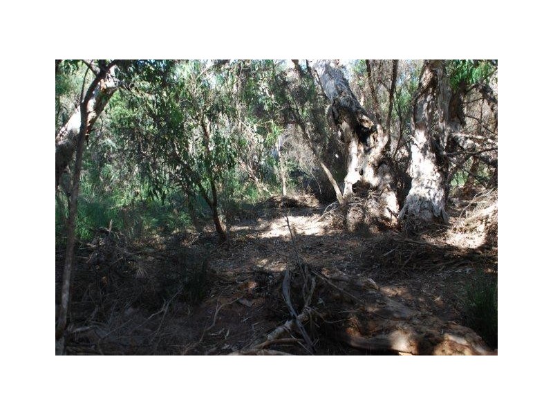 Yallabatharra WA 6535