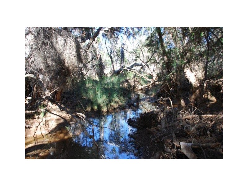 Yallabatharra WA 6535