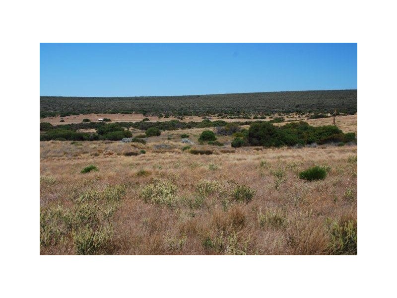 Yallabatharra WA 6535