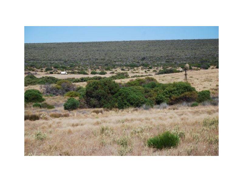 Yallabatharra WA 6535