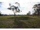 Allot 12 Repeater Station Road, Naracoorte SA 5271