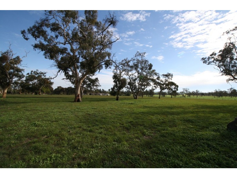 Allot 11 – 75 Repeater Station Road, Naracoorte SA 5271