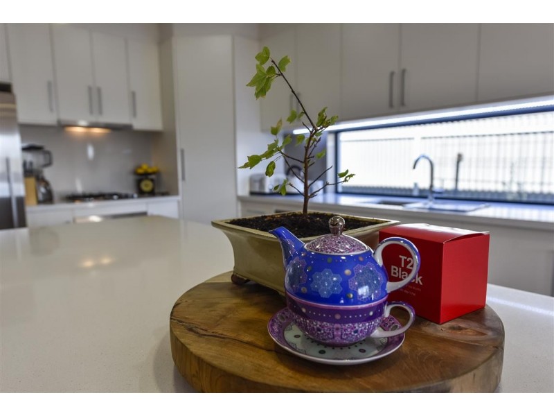 6 Strathlyn Avenue, Naracoorte SA 5271