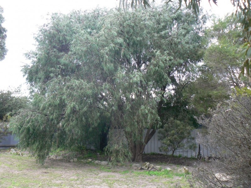 16 Apex Lane, Robe SA 5276