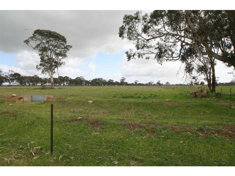 5875 Riddoch Highway, Padthaway SA 5271